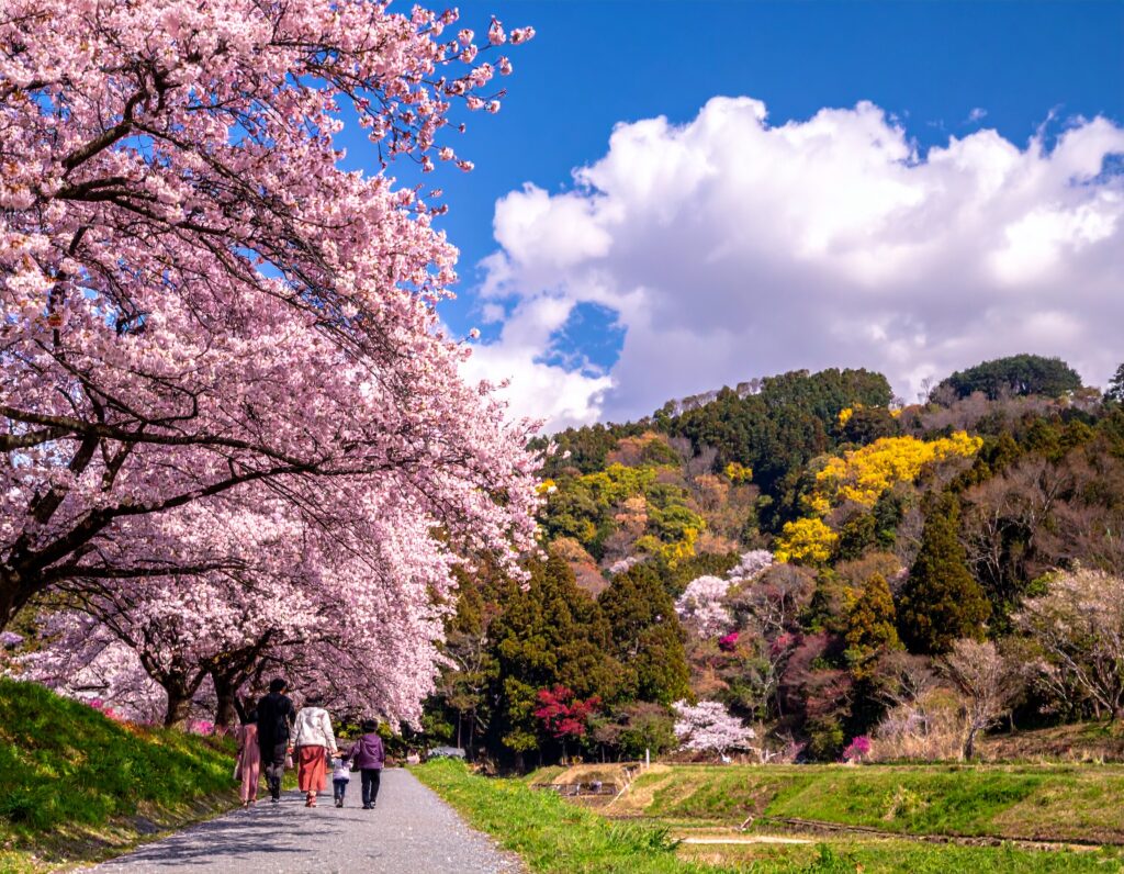 大切な人と過ごす時間をイメージできるような平穏な風景