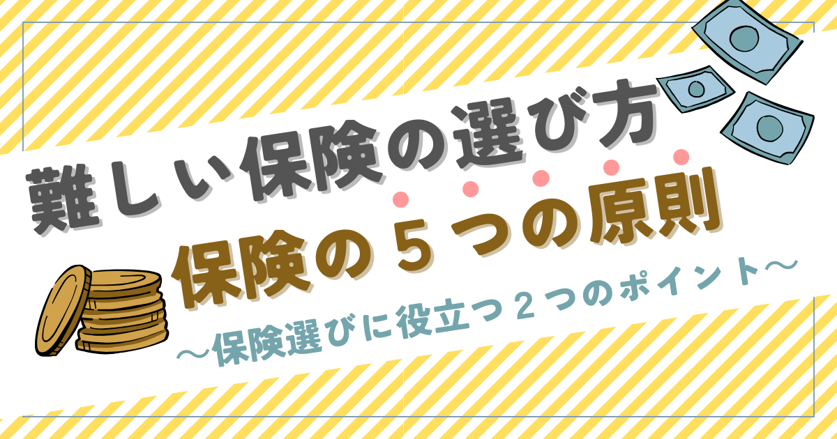 難しい保険の選び方、５つの原則