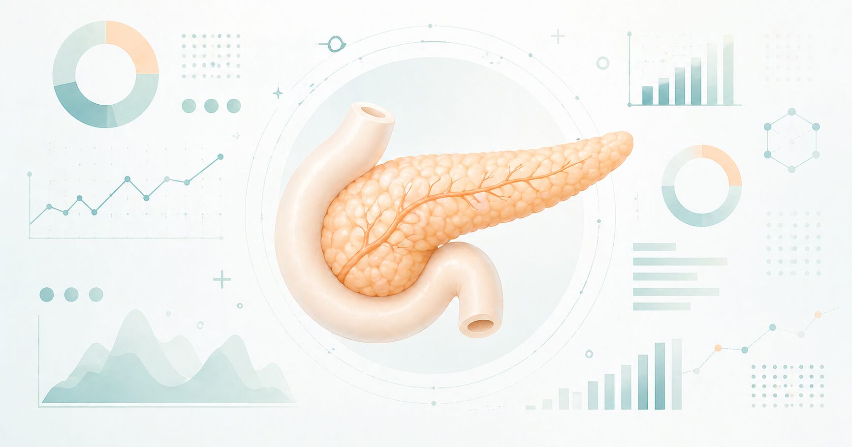 膵臓のビジュアル